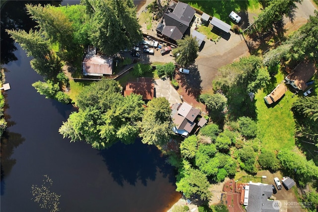 51 E Glamis Ct, Shelton, WA 98584 - aerial view of a nearby body of water