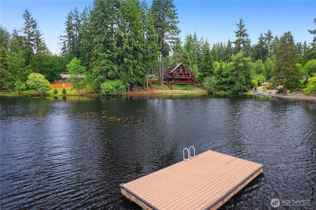 51 E Glamis Ct, Shelton, WA 98584 - photo 4