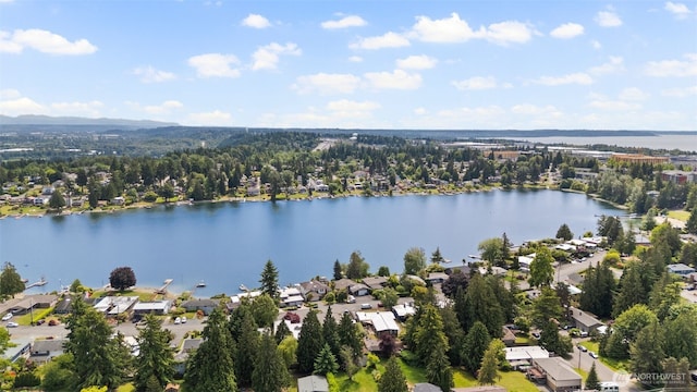 19027 37th Ave S, Seatac, WA 98188 - aerial view of residential area with a nearby body of water