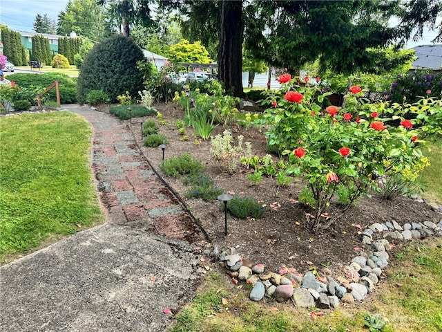 19027 37th Ave S, Seatac, WA 98188 - view of yard
