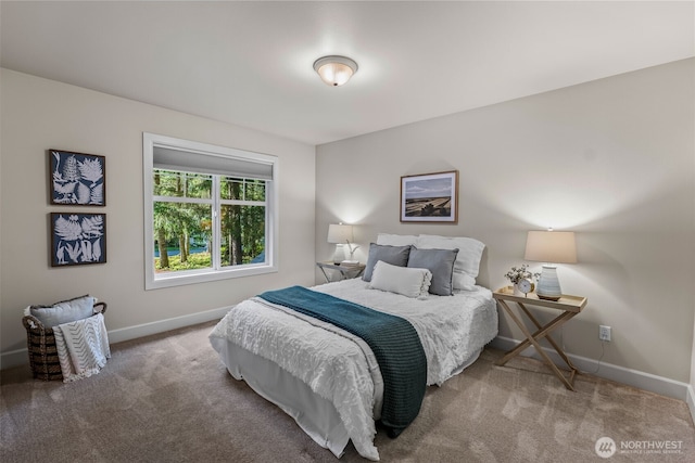 11709 51st Ave NW, Gig Harbor, WA 98332 - photo 29