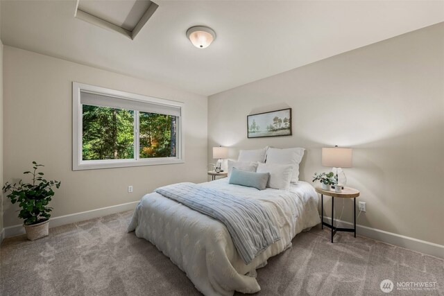 11709 51st Ave NW, Gig Harbor, WA 98332 - photo 30