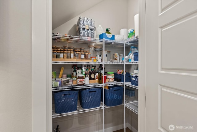 14205 272nd Pl NE, Duvall, WA 98019 - view of pantry