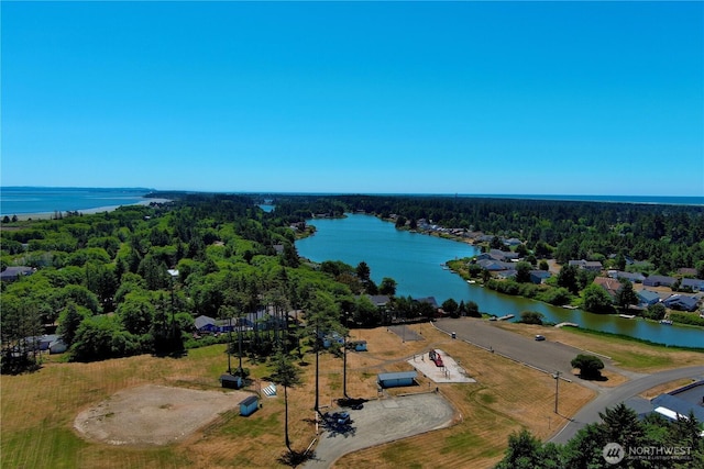 513 Chenois Ave NE, Ocean Shores, WA 98569