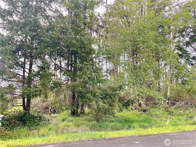 513 Chenois Ave NE, Ocean Shores, WA 98569