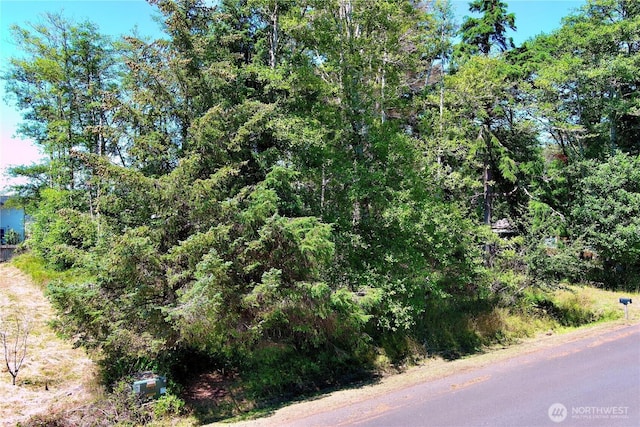 513 Chenois Ave NE, Ocean Shores, WA 98569