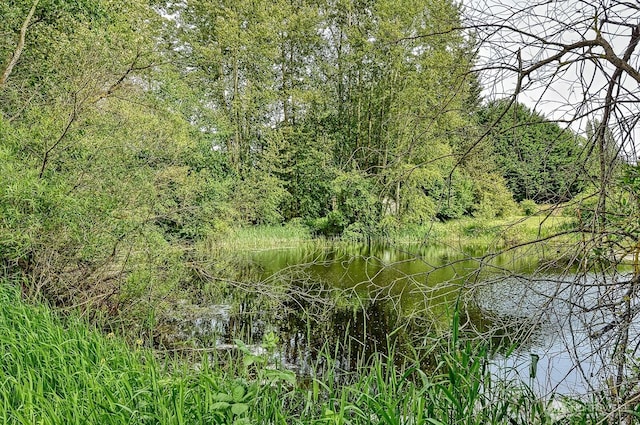 936 W Axton Rd, Bellingham, WA 98226 - view of undeveloped land with a nearby body of water