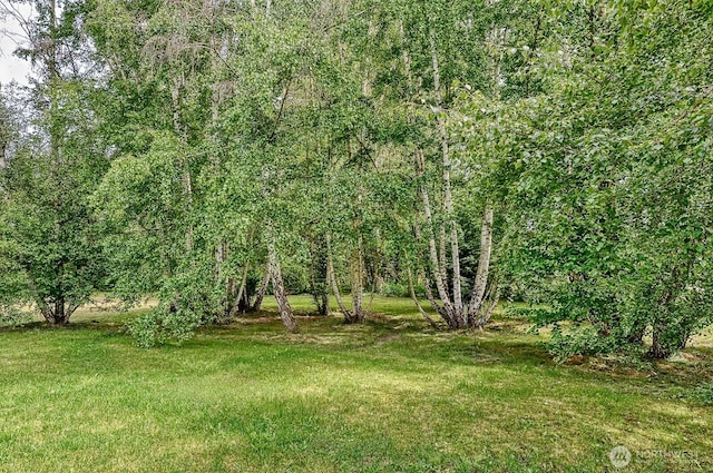 936 W Axton Rd, Bellingham, WA 98226 - view of grassy yard