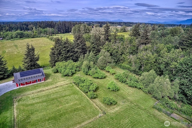 936 W Axton Rd, Bellingham, WA 98226 - drone / aerial view of a heavily wooded area