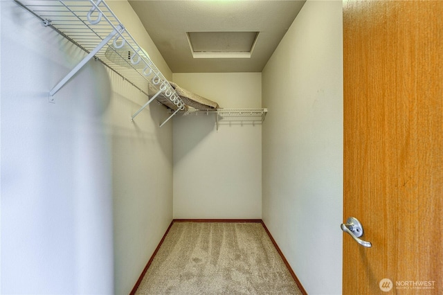 912 Eagle Crest Pl, Port Orchard, WA 98366 - walk in closet with carpet flooring