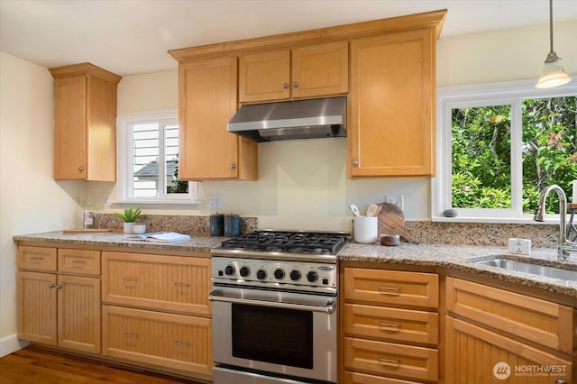 7530 25th Ave NW, Seattle, WA 98117 - kitchen featuring under cabinet range hood, high end stainless steel range oven, a sink, and light stone countertops