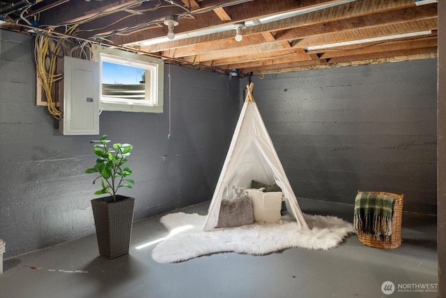 7530 25th Ave NW, Seattle, WA 98117 - below grade area featuring electric panel