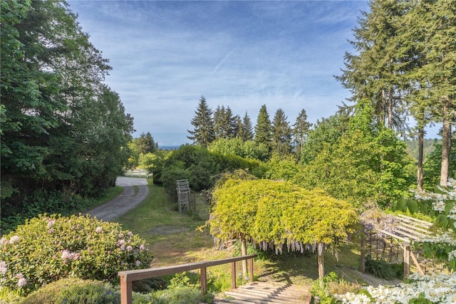 160 Bywater Way, Port Ludlow, WA 98365 - view of yard