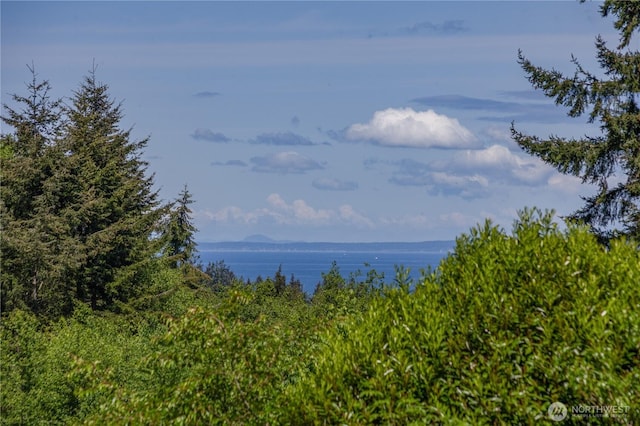 160 Bywater Way, Port Ludlow, WA 98365 - water view
