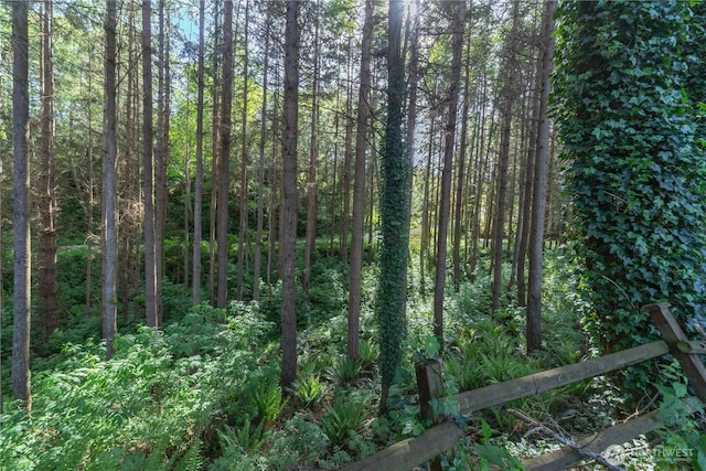 160 Bywater Way, Port Ludlow, WA 98365 - view of woods