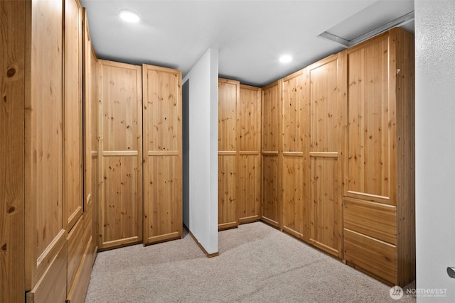 20723 197th Ave E, Orting, WA 98360 - spacious closet with carpet flooring