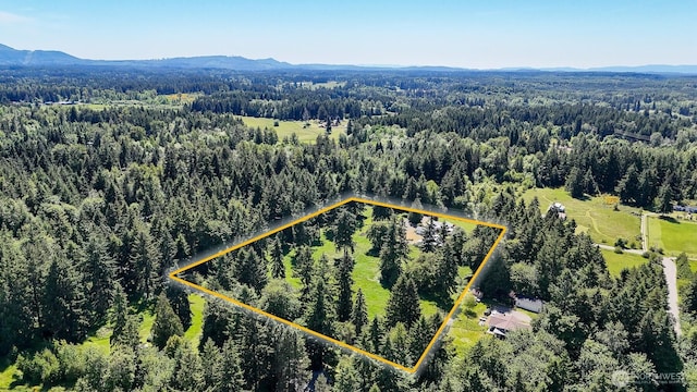 14945 Fox Hill Rd SE, Yelm, WA 98597 - aerial overview of property's location with a heavily wooded area, property parcel outlined, and mountains