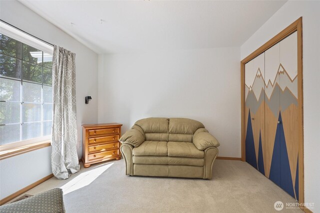 1126 Hill Ct, Cosmopolis, WA 98537 - photo 22