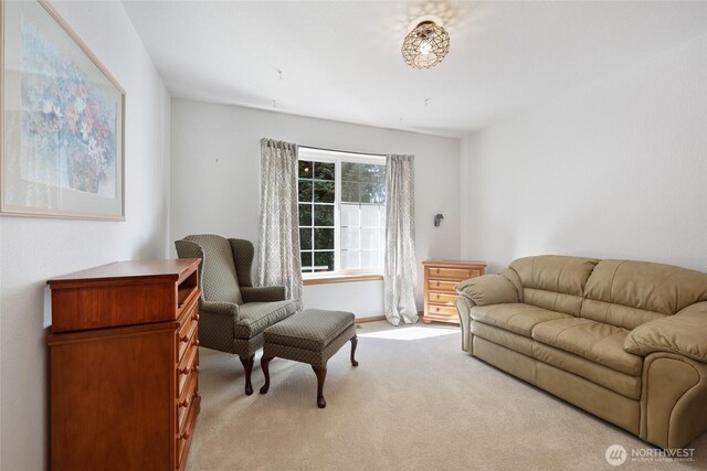 1126 Hill Ct, Cosmopolis, WA 98537 - photo 21