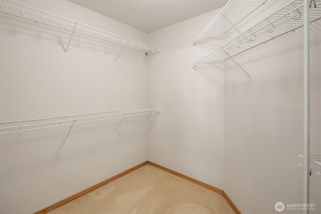 7522 NE 204th Pl, Kenmore, WA 98028 - walk in closet featuring light colored carpet