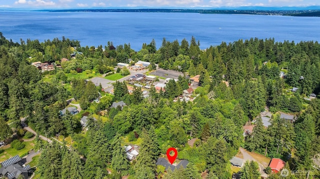 11002 Hyla Ave NE, Bainbridge Island, WA 98110 - aerial overview of property's location with a large body of water