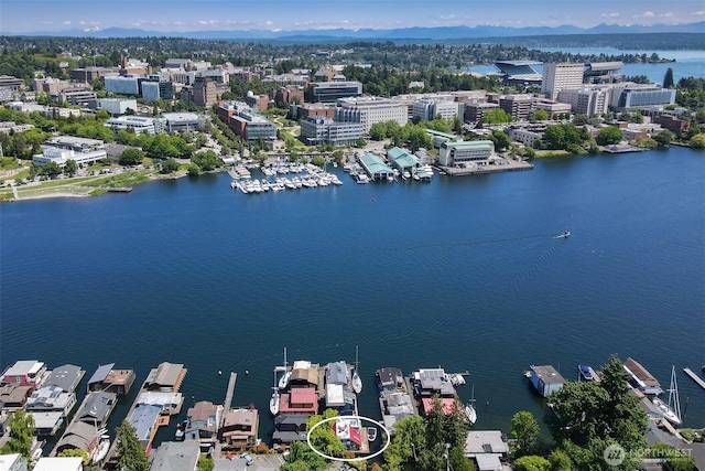 3110 Portage Bay Pl E Unit B, Seattle, WA 98103 - aerial view of a large body of water