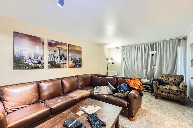 12304 NE 147th Ct, Kirkland, WA 98034 - living area with carpet