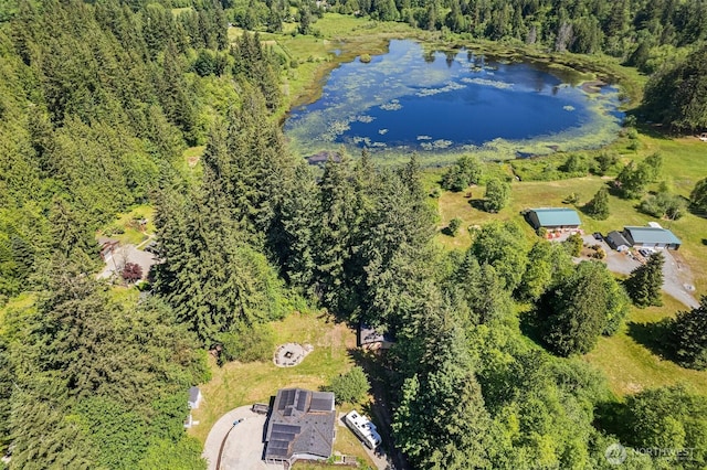 23002 SE 192nd St, Maple Valley, WA 98038 - photo 33