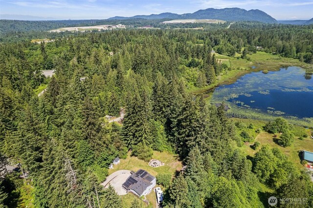 23002 SE 192nd St, Maple Valley, WA 98038 - photo 34