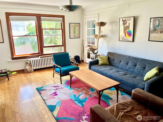 220 W Olympic Pl Unit 309, Seattle, WA 98119 - living room with radiator and wood finished floors