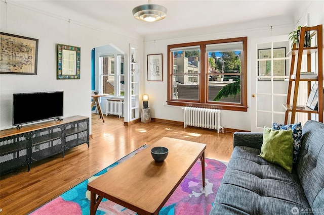 220 W Olympic Pl Unit 309, Seattle, WA 98119 - living area with radiator, wood finished floors, baseboards, and arched walkways