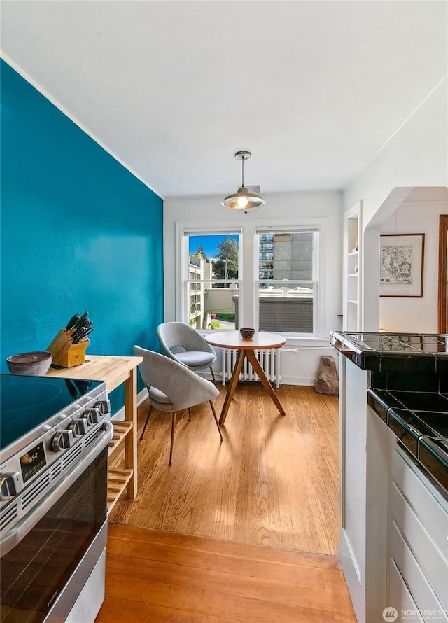 220 W Olympic Pl Unit 309, Seattle, WA 98119 - dining room with light wood-style floors, radiator, baseboards, and breakfast area