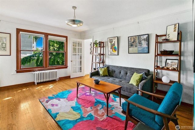 220 W Olympic Pl Unit 309, Seattle, WA 98119 - living room featuring radiator heating unit, wood finished floors, and baseboards