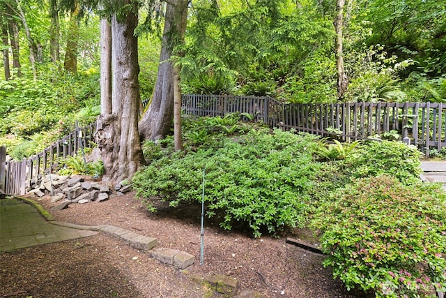 5019 E Mercer Way, Mercer Island, WA 98040 - view of yard