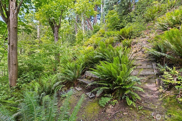 5019 E Mercer Way, Mercer Island, WA 98040 - view of yard