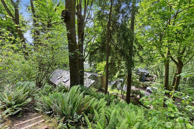 5019 E Mercer Way, Mercer Island, WA 98040 - view of local wilderness
