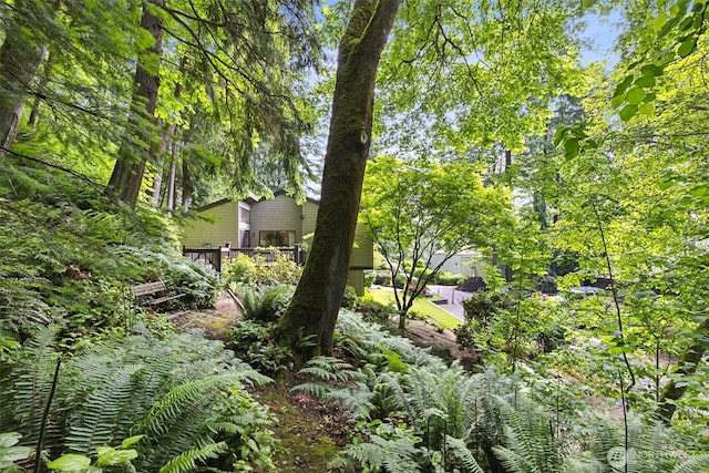 5019 E Mercer Way, Mercer Island, WA 98040 - view of yard