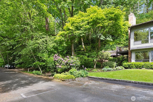 5019 E Mercer Way, Mercer Island, WA 98040 - view of grassy yard