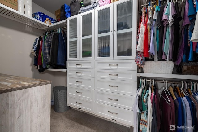 742 Parkland Loop, Sedro Woolley, WA 98284 - walk in closet featuring carpet flooring