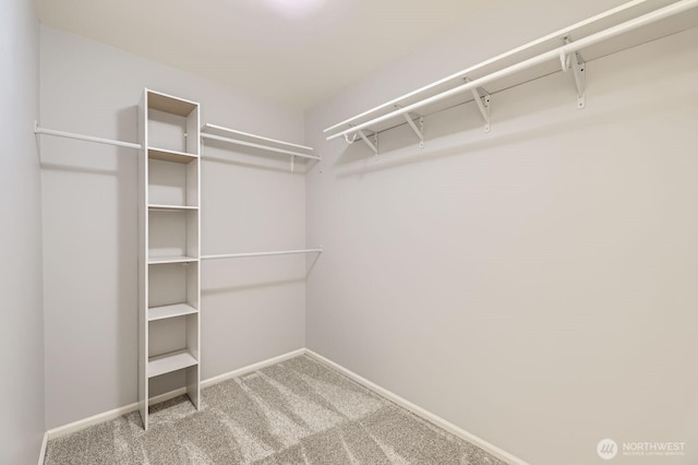3402 174th Pl SE, Bothell, WA 98012 - walk in closet featuring carpet flooring