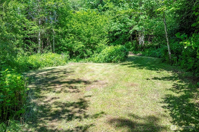 20800 Hartry Ln, Sedro Woolley, WA 98284 - view of grassy yard featuring a wooded view
