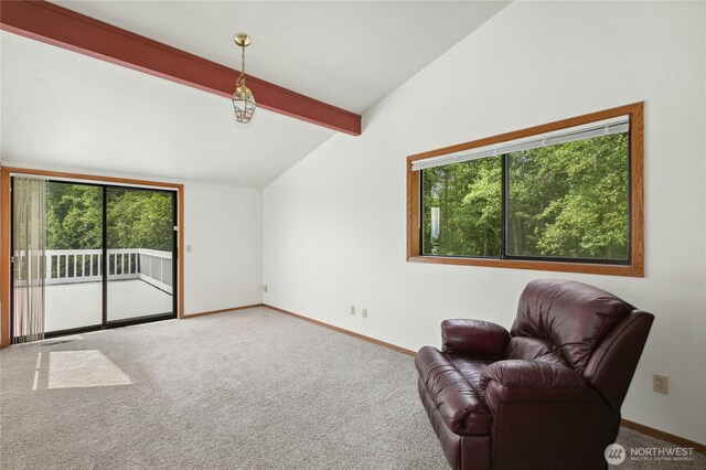 1108 S Chadwick Ct, Coupeville, WA 98239 - photo 10
