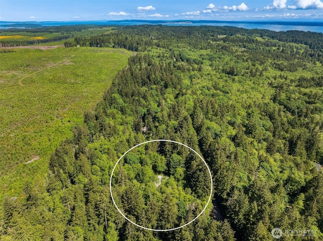 32227 Old Hansville Rd NE, Kingston, WA 98346 - aerial view of a forest