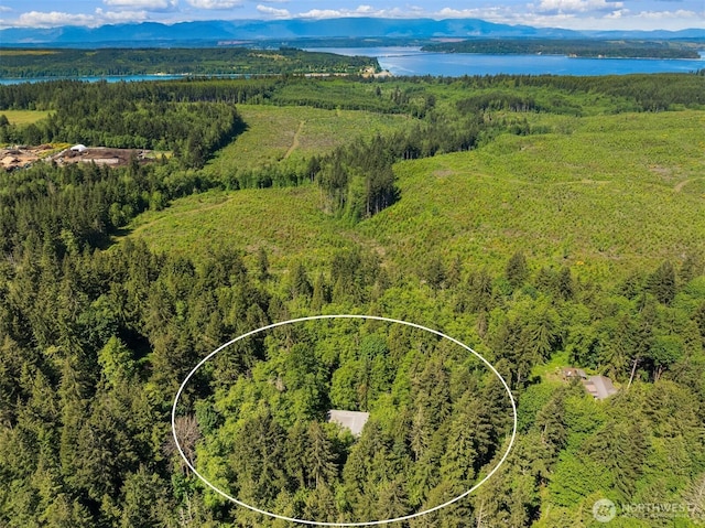 32227 Old Hansville Rd NE, Kingston, WA 98346 - drone / aerial view of a water and mountain view and a heavily wooded area