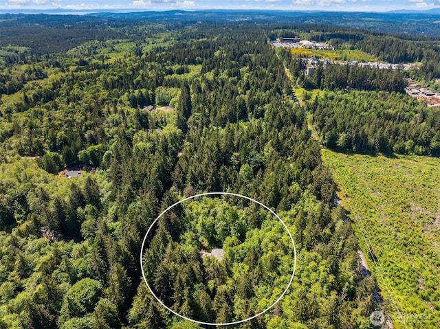 32227 Old Hansville Rd NE, Kingston, WA 98346 - aerial view of a heavily wooded area