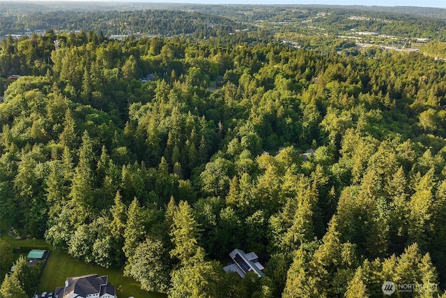 10608 NE 157th St, Bothell, WA 98011 - aerial view of property's location with a heavily wooded area