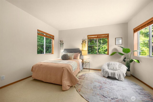 10608 NE 157th St, Bothell, WA 98011 - carpeted bedroom with baseboards
