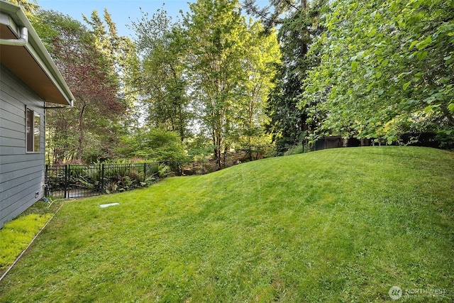 10608 NE 157th St, Bothell, WA 98011 - view of yard