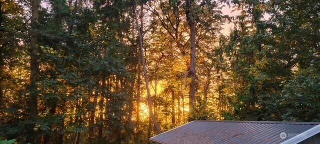 1577 Arrowhead Beach Rd, Camano Island, WA 98282 - exterior view of metal roof and a heavily wooded area