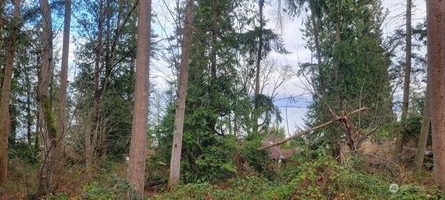 1577 Arrowhead Beach Rd, Camano Island, WA 98282 - view of undeveloped land